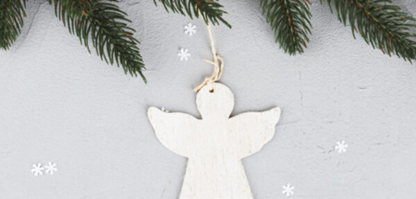 Angel adoption opens Nov. 6th